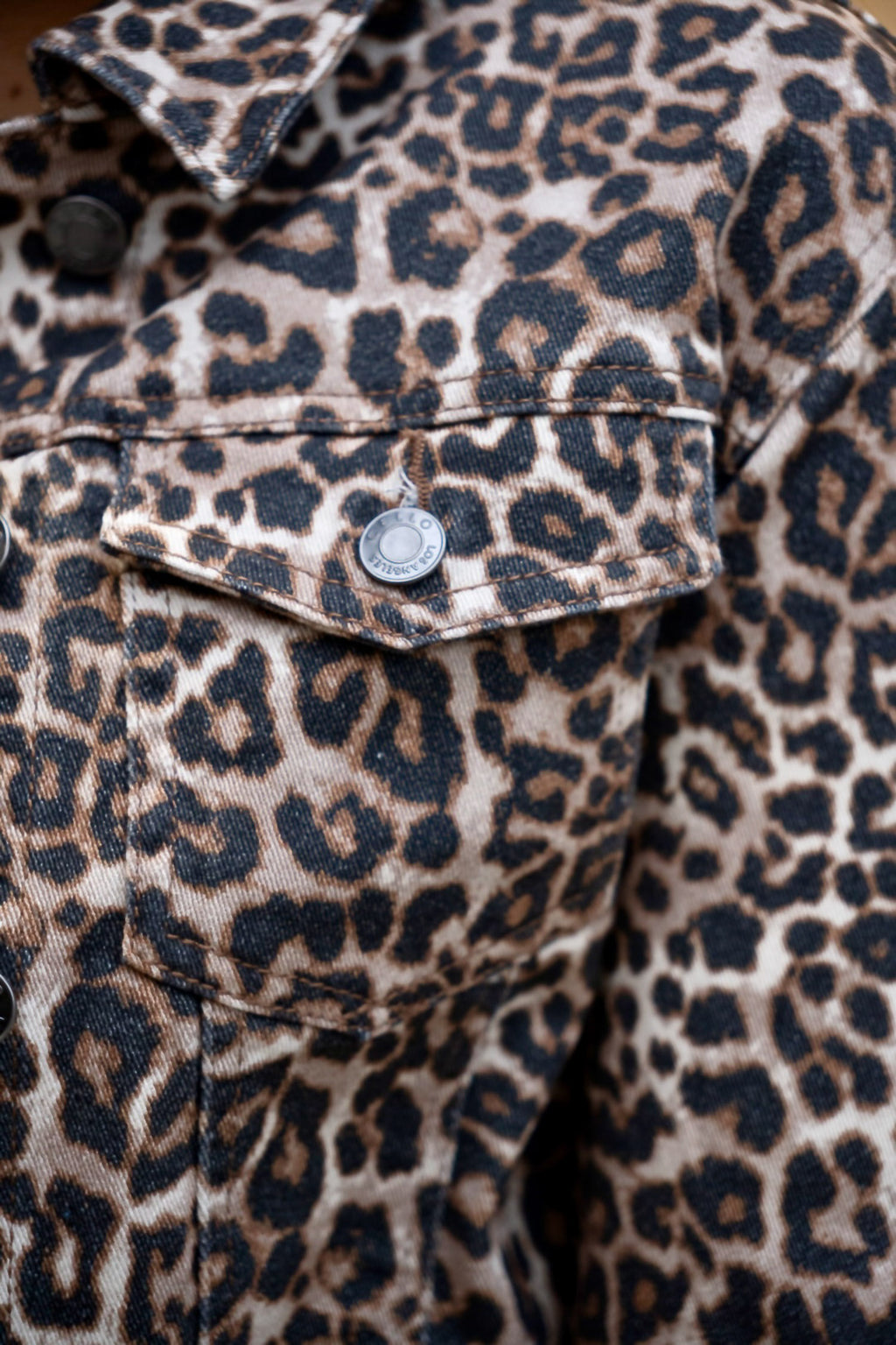 Conjunto Animal Print Leopardo